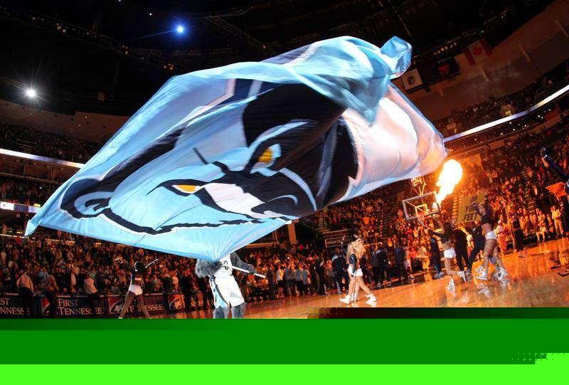 葵花籽榨油设备