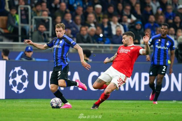 10吨植物油精炼设备